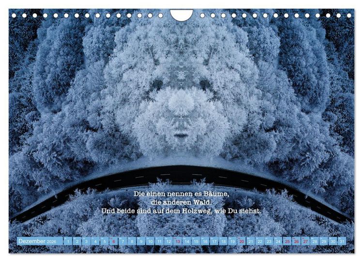 Produktbild: Rollentausch &ndash; Bebilderte Wortspielereien (Wandkalender 2026 DIN A4 quer), CALVENDO Monatskalender
