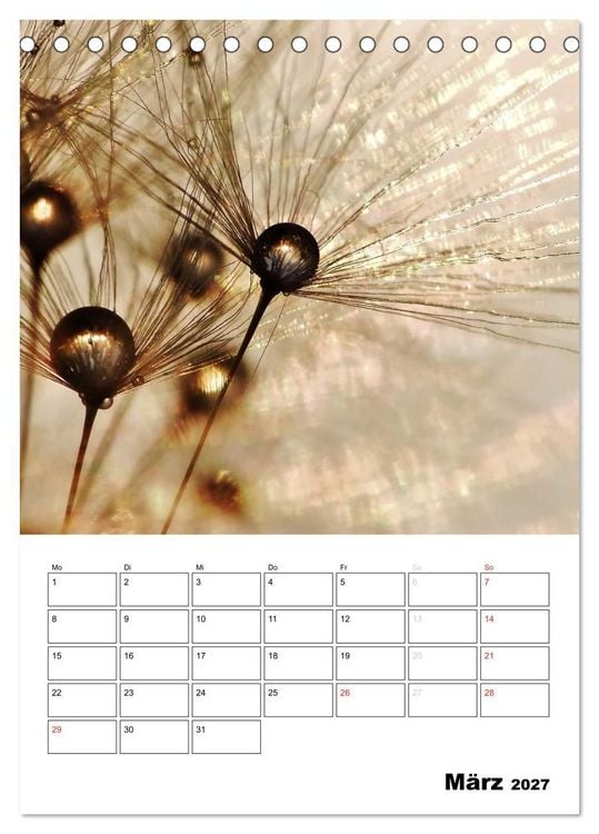 Produktbild: Pusteblumentraum - Dreams of Dandelion (Tischkalender 2027 DIN A5 hoch), CALVENDO Monatskalender
