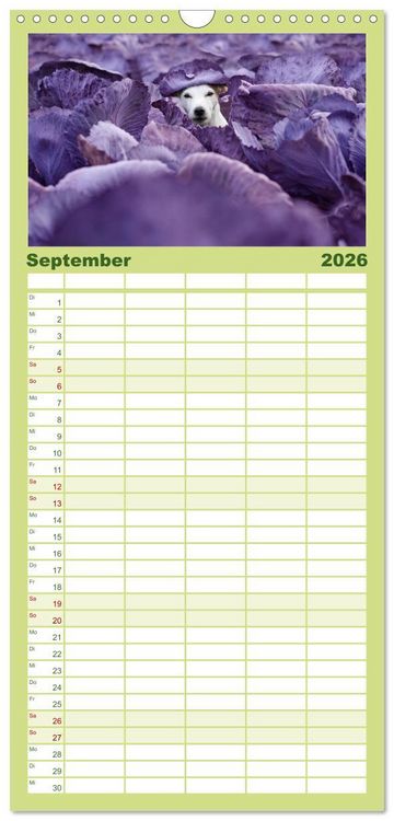 Produktbild: Familienplaner 2026 - Die Parson-Russell-Terrier ...mit neuen Abenteuern aus der Hundeknipserei mit 5 Spalten (Wandkalender, 21 x 45 cm) CALVENDO