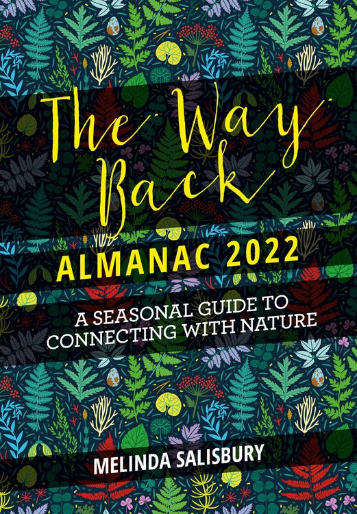Produktbild: The Way Back Almanac 2022
