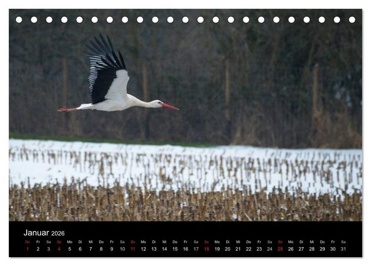 Produktbild: Ein Jahr bei den St&ouml;rchen (Tischkalender 2026 DIN A5 quer), CALVENDO Monatskalender
