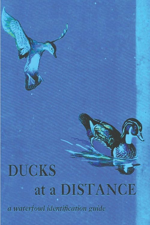 Produktbild: Ducks at a Distance