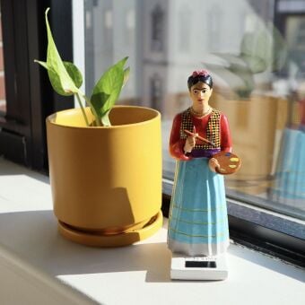 Produktbild: SOLAR FRIDA