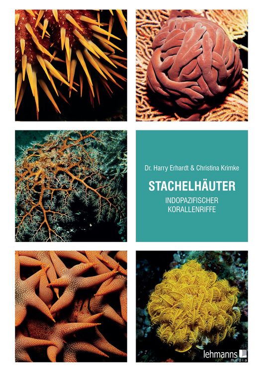 Produktbild: Stachelh&auml;uter indopazifischer Korallenriffe