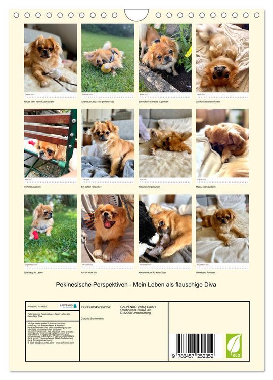 Produktbild: Pekinesische Perspektiven - Mein Leben als flauschige Diva (Wandkalender 2026 DIN A4 hoch), CALVENDO Monatskalender