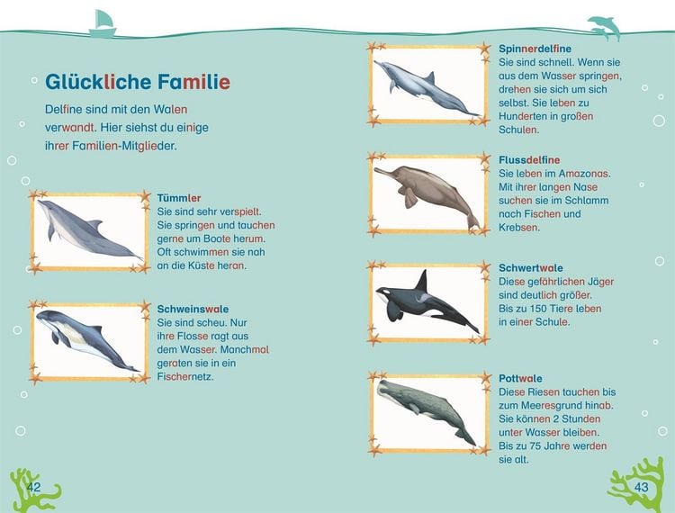 Produktbild: SUPERLESER! Wo bist du, kleiner Delfin?