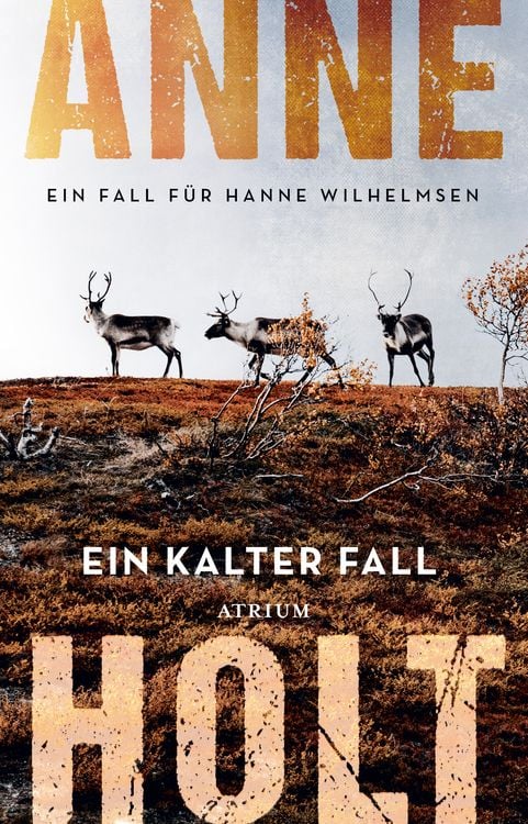 Bild vom Artikel Ein kalter Fall vom Autor Anne Holt