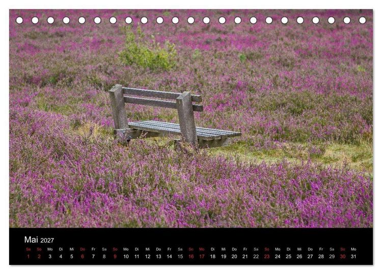 Produktbild: L&uuml;neburger Heide (Tischkalender 2027 DIN A5 quer), CALVENDO Monatskalender