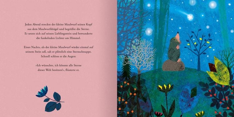 Produktbild: Der Maulwurf und die Sterne