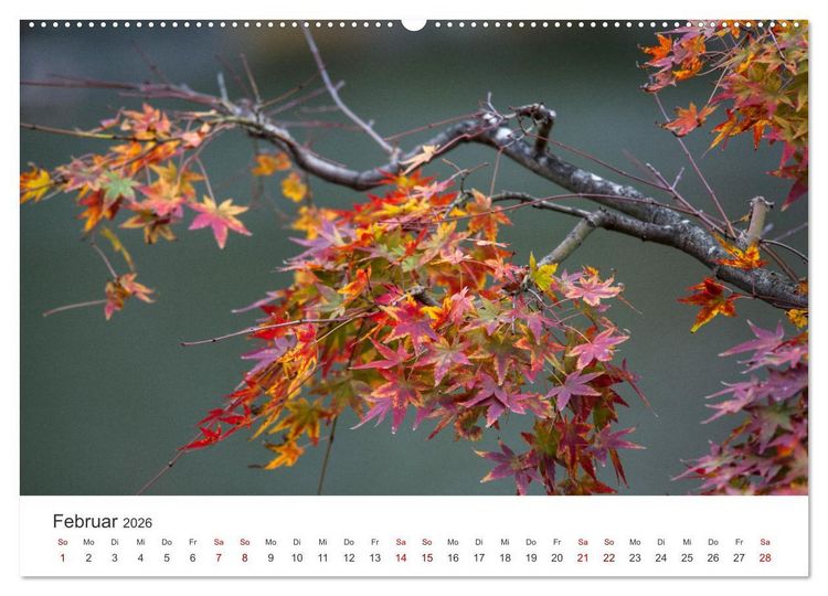 Produktbild: Japanischer Herbst und Laub (Wandkalender 2026 DIN A2 quer), CALVENDO Monatskalender