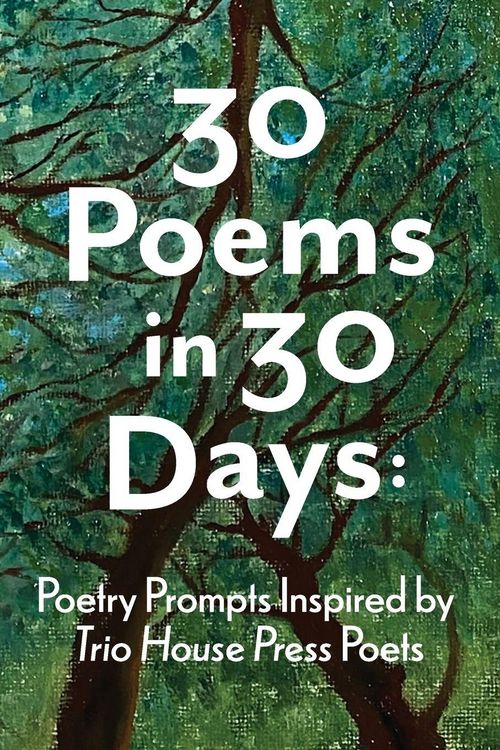 Produktbild: 30 Poems in 30 Days