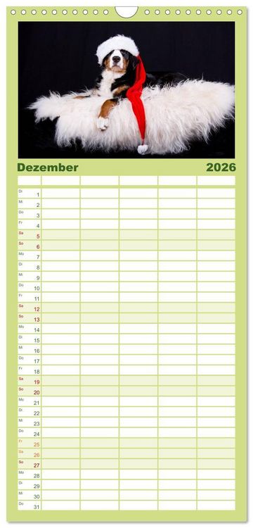 Produktbild: Familienplaner 2026 - Liebling BERNER SENNENHUND mit 5 Spalten (Wandkalender, 21 x 45 cm) CALVENDO