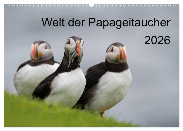 Produktbild: Welt der Papageitaucher (Wandkalender 2026 DIN A2 quer), CALVENDO Monatskalender