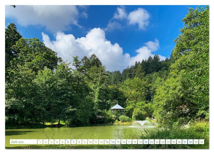 Produktbild: Freiburg - geht immer (Wandkalender 2026 DIN A4 quer), CALVENDO Monatskalender