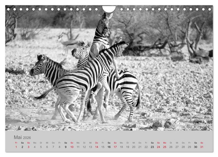 Produktbild: Die Seelen der wilden Tiere (Wandkalender 2026 DIN A4 quer), CALVENDO Monatskalender