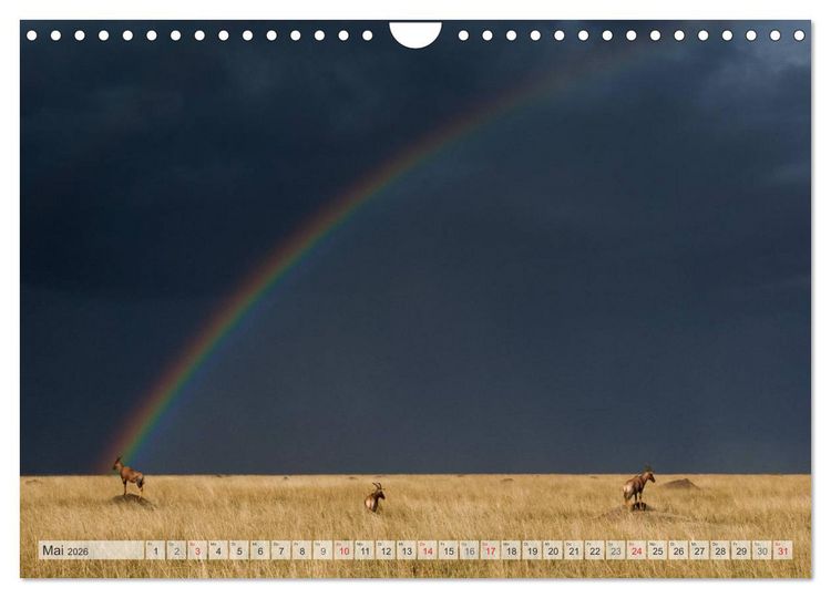 Produktbild: Emotionale Momente: Afrika Wildlife Part 2 / CH-Version (Wandkalender 2026 DIN A4 quer), CALVENDO Monatskalender