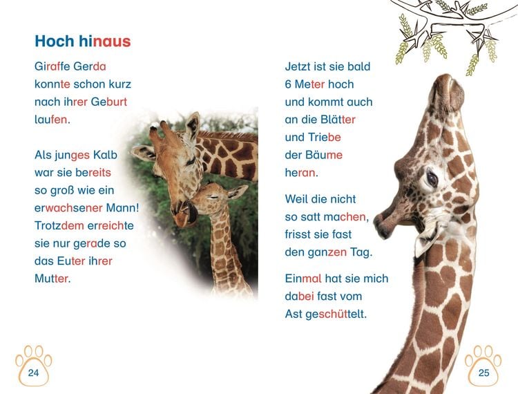 Produktbild: SUPERLESER! Nachwuchs bei uns im Zoo