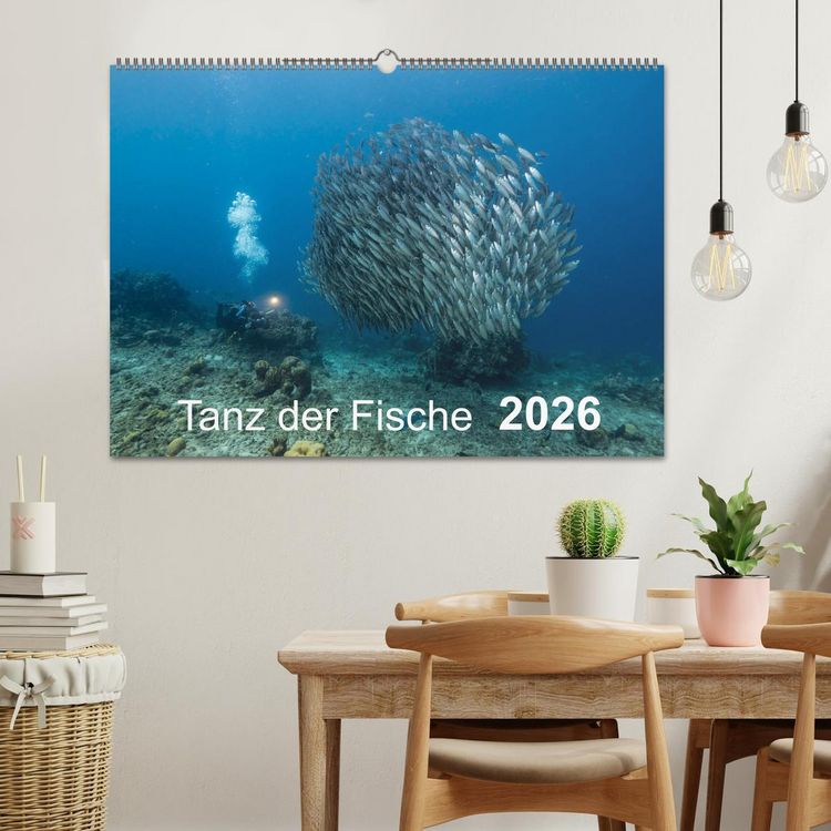 Produktbild: Tanz der Fische (Wandkalender 2026 DIN A2 quer), CALVENDO Monatskalender