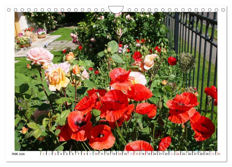 Produktbild: &Agrave; la cl&ocirc;ture du jardin (Calendrier mural 2026 DIN A4 vertical), CALVENDO calendrier mensuel