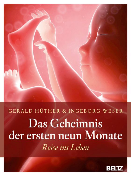 Produktbild: Das Geheimnis der ersten neun Monate