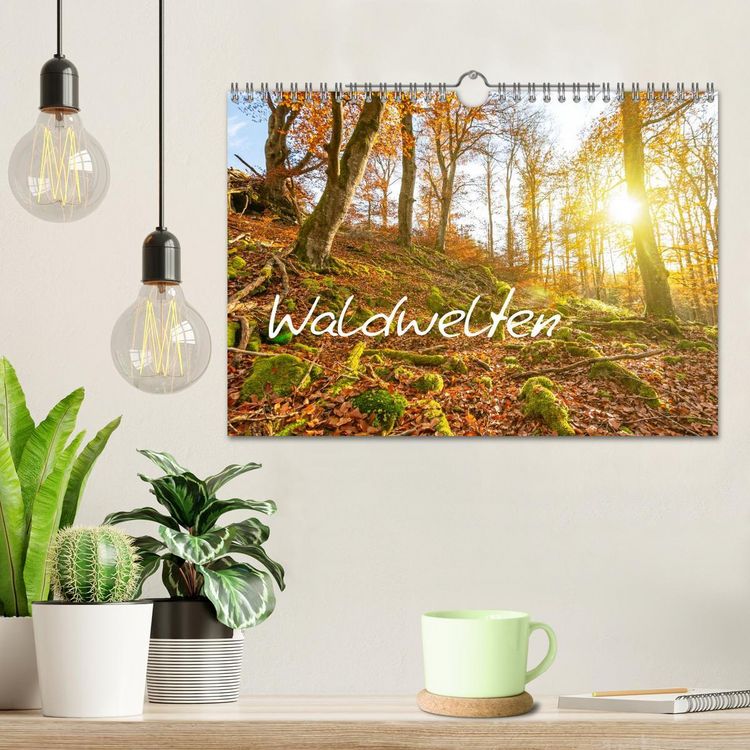Produktbild: Waldwelten (Wandkalender 2026 DIN A4 quer), CALVENDO Monatskalender
