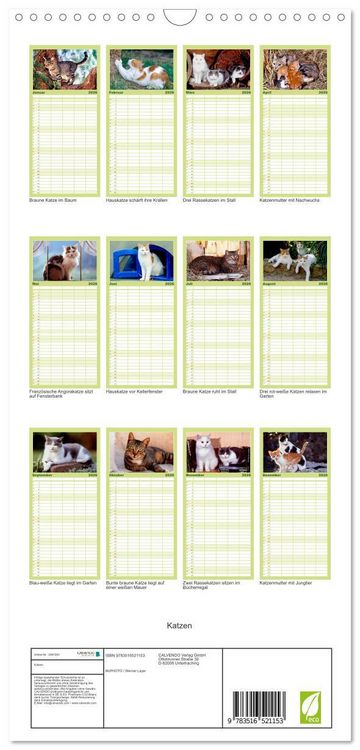 Produktbild: Familienplaner 2026 - Katzen mit 5 Spalten (Wandkalender, 21 x 45 cm) CALVENDO