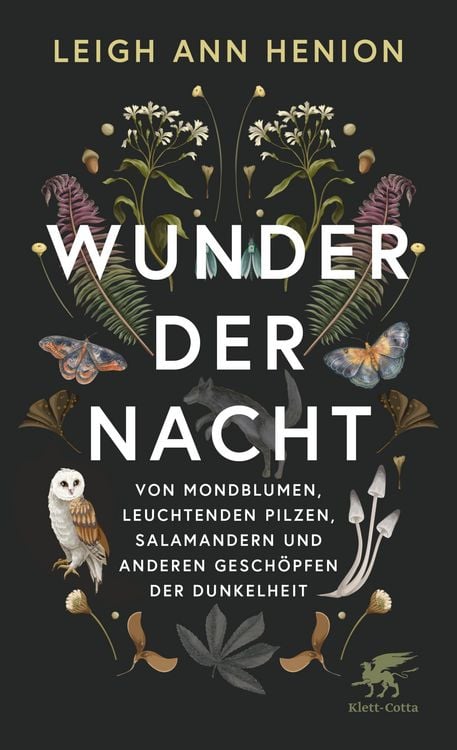 Produktbild: Wunder der Nacht