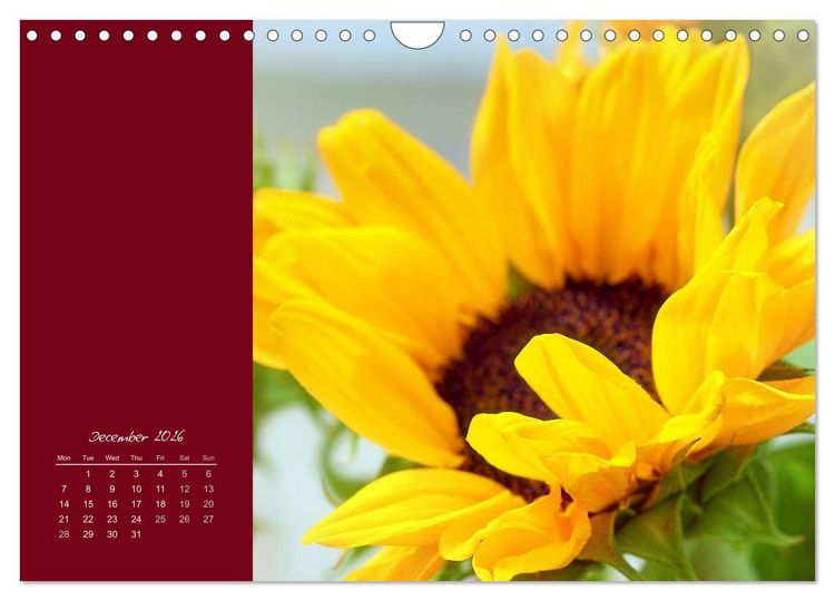 Produktbild: Vibrancy of flowers (Wall Calendar 2026 DIN A4 landscape), CALVENDO 12 Month Wall Calendar