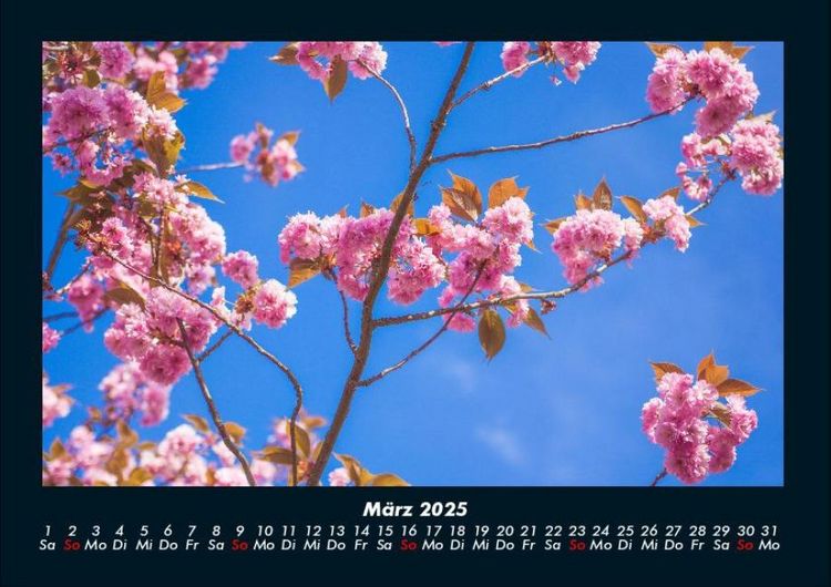 Produktbild: Naturlandschaften 2025 Fotokalender DIN A4