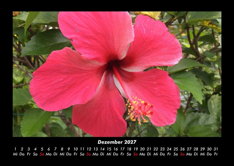 Produktbild: Fernweh 2027 Fotokalender DIN A3