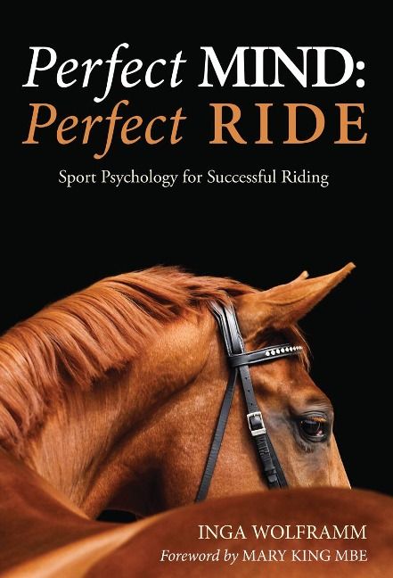 Produktbild: Perfect Mind: Perfect Ride