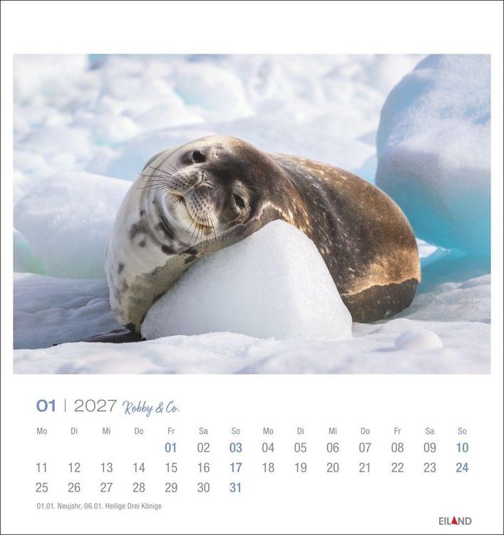 Produktbild: Robby & Co. Postkartenkalender 2027