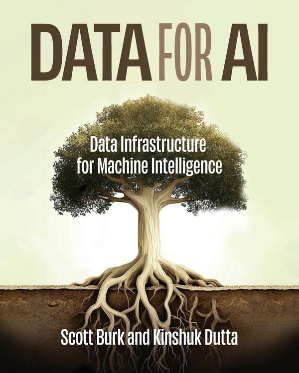 Produktbild: Data for AI