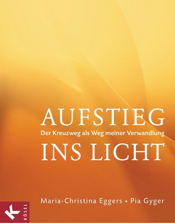 Produktbild: Aufstieg ins Licht