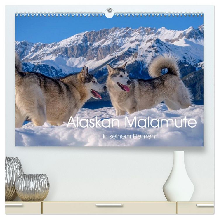 Produktbild: Alaskan Malamute in seinem Element (hochwertiger Premium Wandkalender 2026 DIN A2 quer), Kunstdruck in Hochglanz