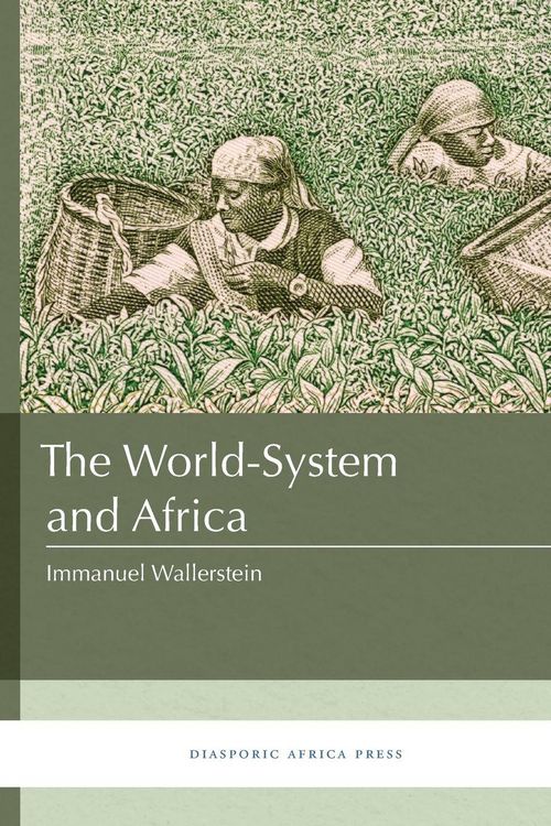 Produktbild: The World-System and Africa