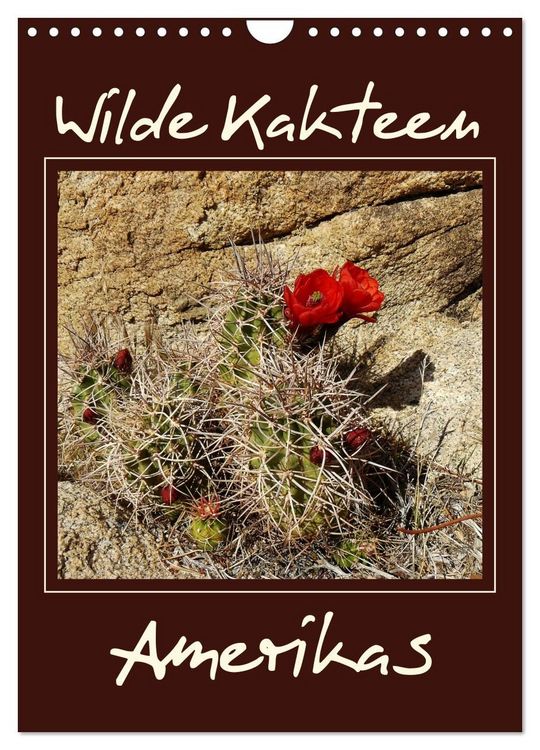 Produktbild: Wilde Kakteen Amerikas (Wandkalender 2027 DIN A4 hoch), CALVENDO Monatskalender
