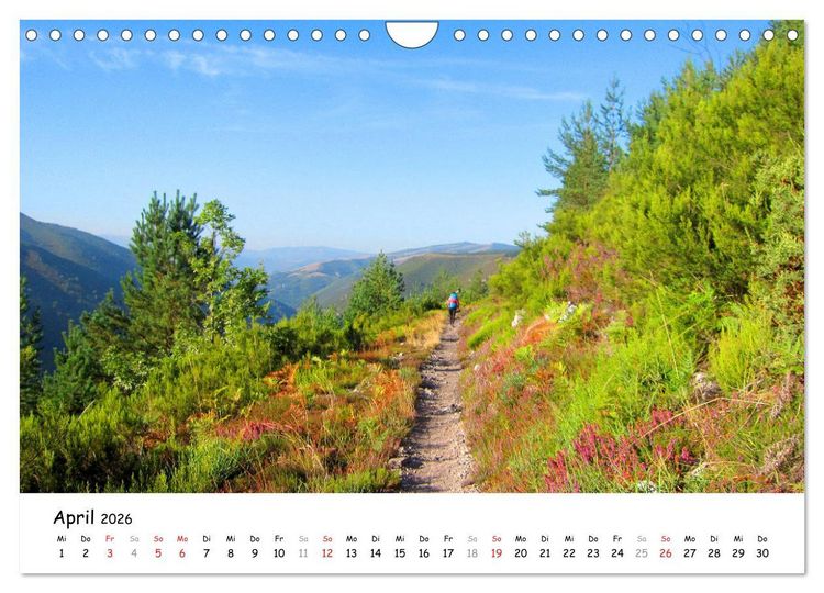 Produktbild: Jakobsweg - Camino Primitivo (Wandkalender 2026 DIN A4 quer), CALVENDO Monatskalender