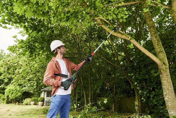 Produktbild: Bosch Home and Garden 06008B3100 UniversalChainPole 18 Akku Hochentaster Tragegurt, inkl. Akku, inkl. Ladeger&auml;t 18 V Li-Ion