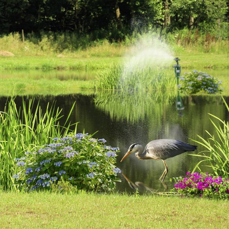Produktbild: Gardigo Tierabwehrger&auml;t Funktionsart Solar, Wasserstrahl 1St.