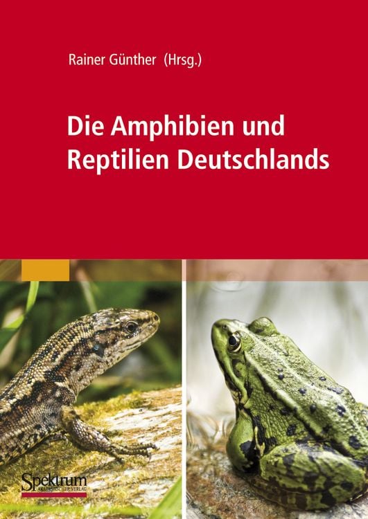 Produktbild: Die Amphibien und Reptilien Deutschlands