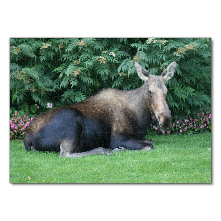 Produktbild: Lais Puzzle Elch 500 Teile