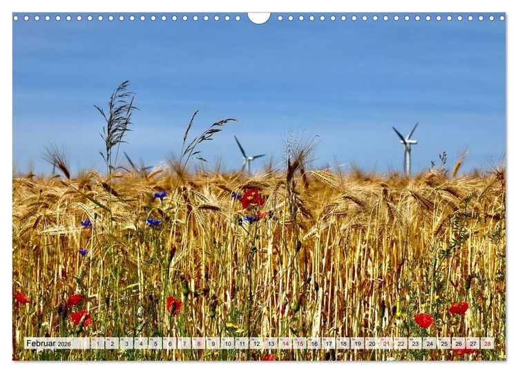 Produktbild: Fischland: zwischen Ostsee und Bodden (Wandkalender 2026 DIN A3 quer), CALVENDO Monatskalender