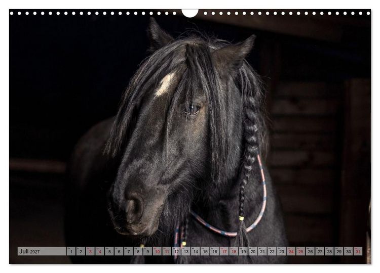 Produktbild: Colorful Horse Ranch &ndash; Wo Tinker posen und Ponys l&auml;cheln (Wandkalender 2027 DIN A3 quer), CALVENDO Monatskalender