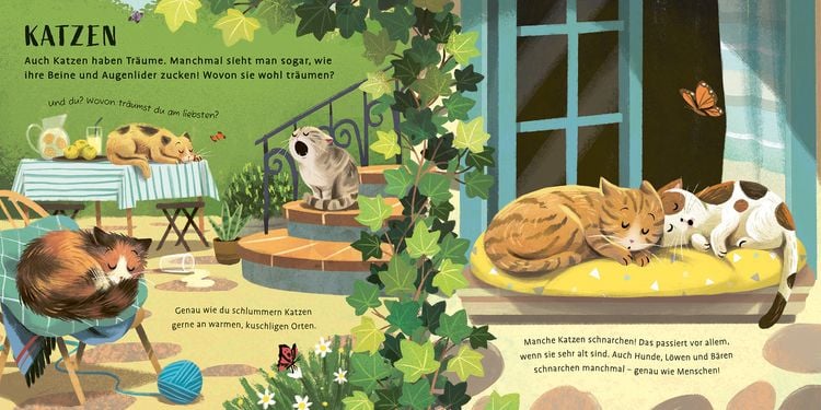 Produktbild: Zeit zu schlafen, liebe Tiere