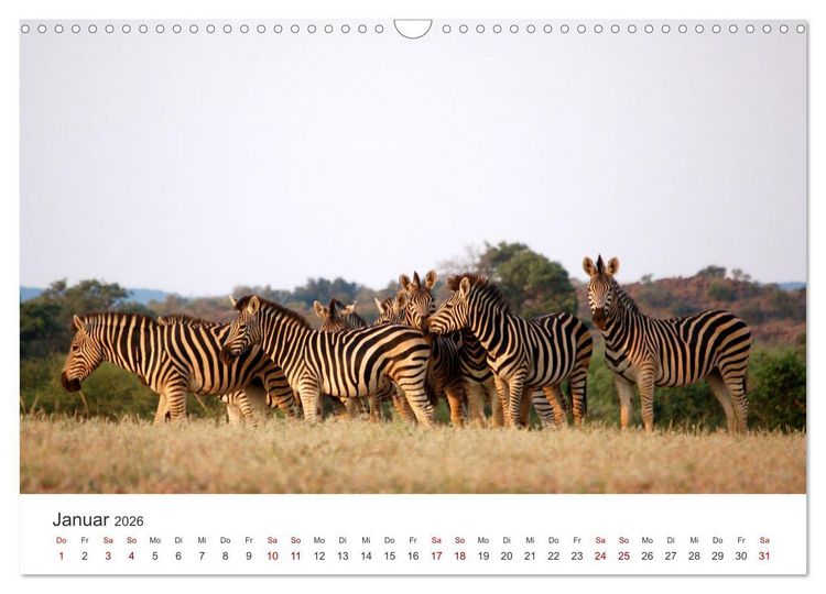 Produktbild: Botswana - Eine spannende Reise in ein wundersch&ouml;nes Land. (Wandkalender 2026 DIN A3 quer), CALVENDO Monatskalender