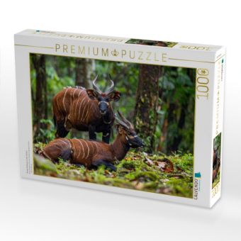 Produktbild: CALVENDO Puzzle Bongo Antilopen in der Wildnis | 1000 Teile Lege-Gr&ouml;&szlig;e 64x48cm Foto-Puzzle f&uuml;r gl&uuml;ckliche Stunden