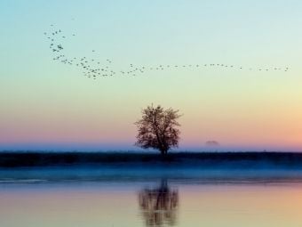 Produktbild: CALVENDO Puzzle Morgentr&auml;ume | 1000 Teile Lege-Gr&ouml;&szlig;e 64x48cm Foto-Puzzle f&uuml;r gl&uuml;ckliche Stunden