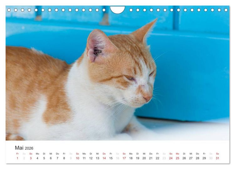 Produktbild: Kreta. Im S&uuml;den (Wandkalender 2026 DIN A4 quer), CALVENDO Monatskalender