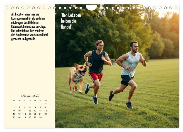 Produktbild: Illustrierte deutsche Redewendungen mit ihrer Bedeutung (Wandkalender 2026 DIN A4 quer), CALVENDO Monatskalender